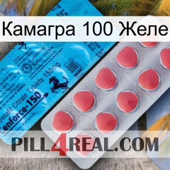 Камагра 100 Желе new14